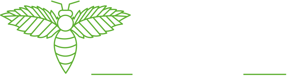 Logo der Stiftung Bienen und Bäume, eine Biene mit Flügeln, die wie Blätter aussehen, neben den Buchstaben Bees & Trees.