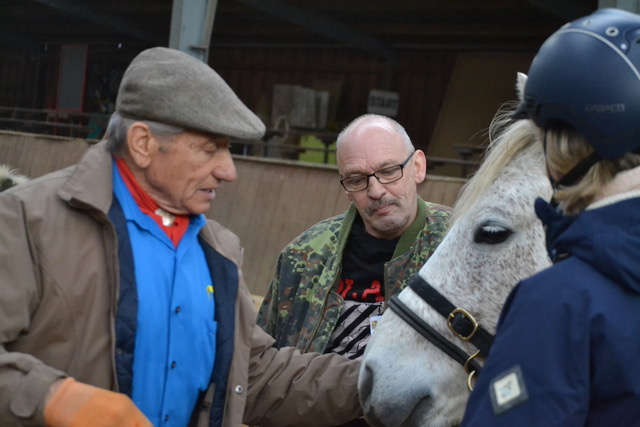 Three people are standing with a horse on a riding arena and having some conversation.