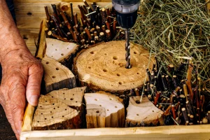 Ein Handwerker, der ein Holzhaus für Insekten mit einem Bohrer in der Werkstatt herstellt
