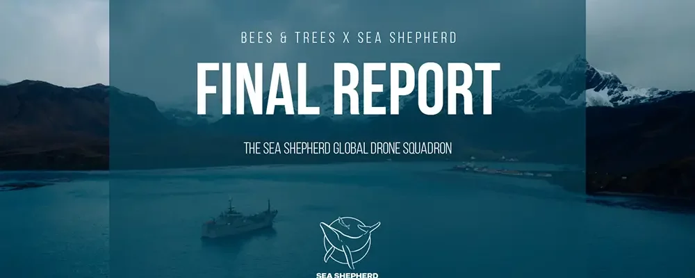 Report about the fight against illegal fishing in the Mediterranean