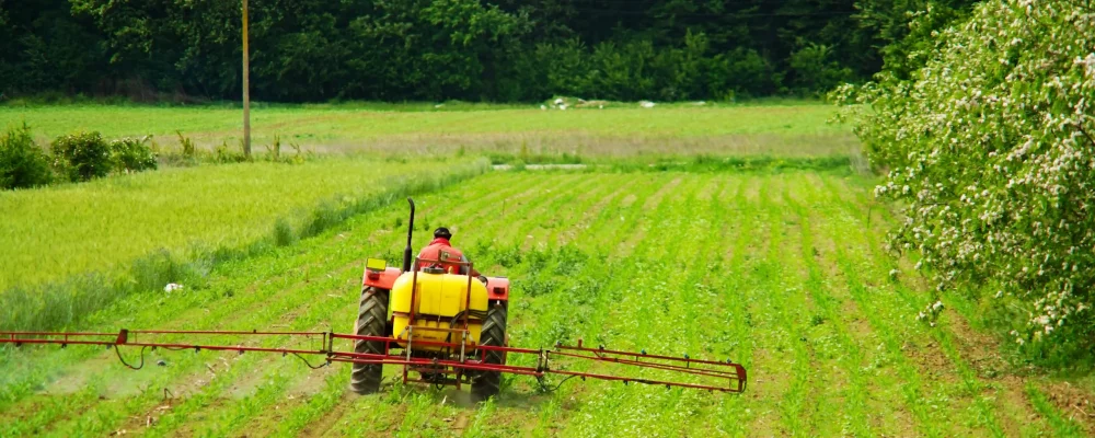 ein Bauer mit einem Traktor der ein Maisfeld bearbeitet